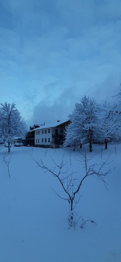 Guest House Tavaduri เมสเตีย ภายนอก รูปภาพ